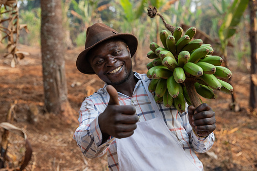 Banana and man